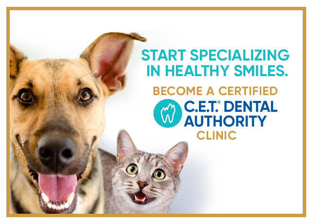 Dental eLearning C.E.T. Dental Ambassador from Virbac